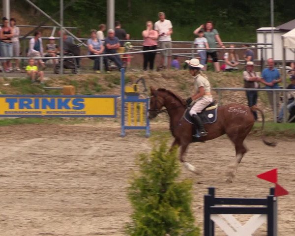 Reitturnier Lgl.-Oberhain, B95 2019
