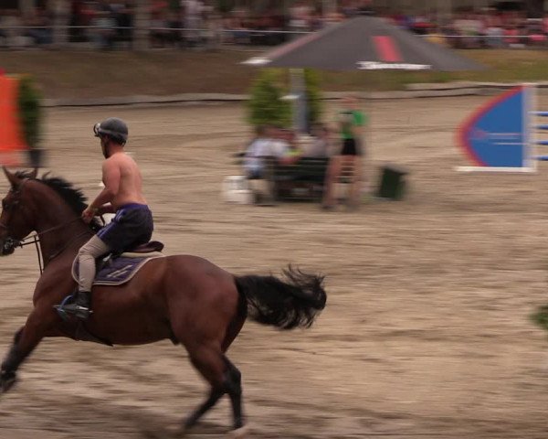 Reitturnier Lgl.-Oberhain, B95 2019