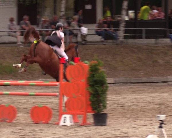 Reitturnier Lgl.-Oberhain, B95 2019