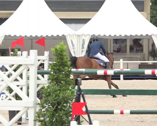 Reitturnier Zug 2019