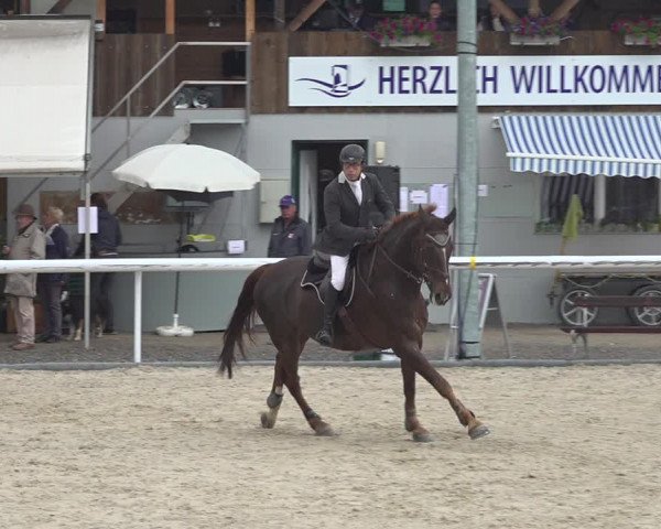 Reitturnier Münsingen 2019