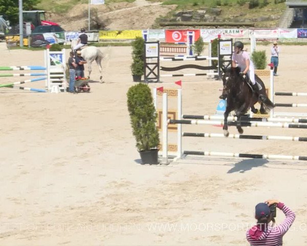 Reitturnier Plaffeien 2019