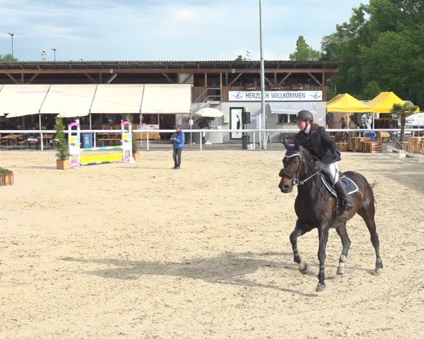 Reitturnier Münsingen 2019