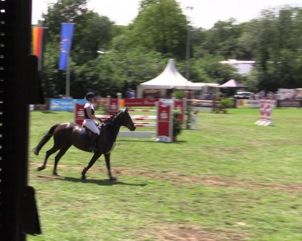 Reitturnier Borken 2019