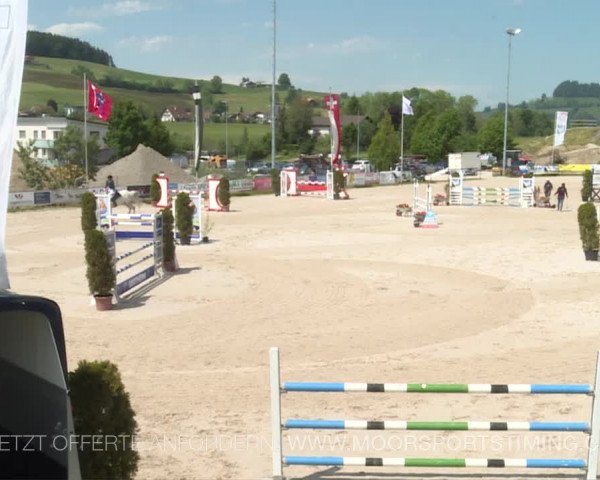 Reitturnier Plaffeien 2019