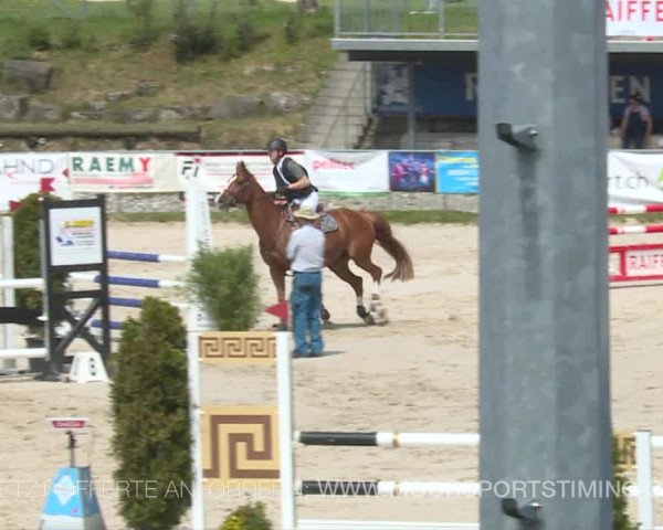 Reitturnier Plaffeien 2019