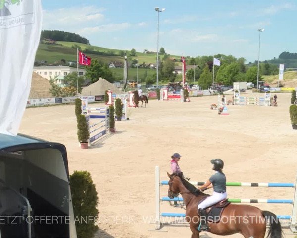 Reitturnier Plaffeien 2019