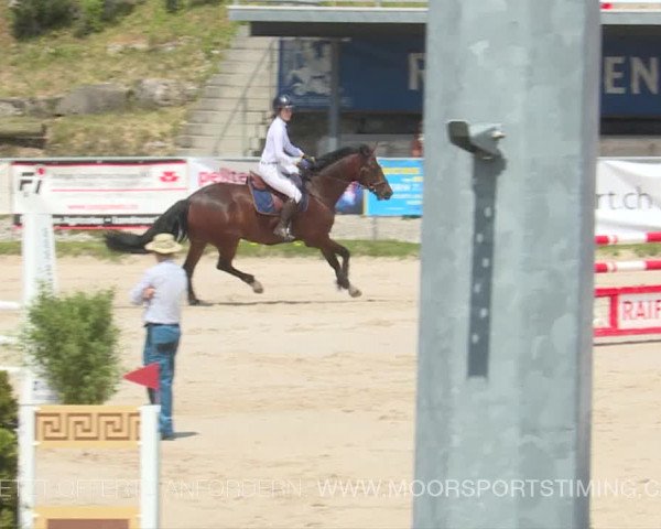 Reitturnier Plaffeien 2019