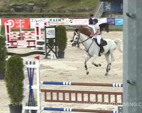 Reitturnier Plaffeien 2019