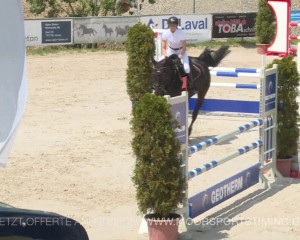 Reitturnier Plaffeien 2019