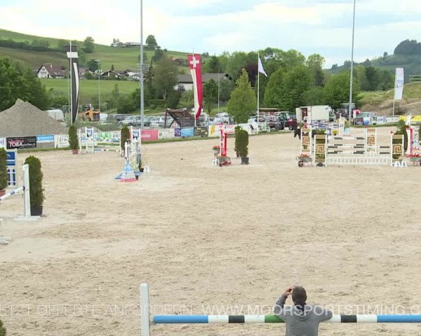 Reitturnier Plaffeien 2019