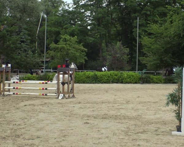Reitturnier Bochum-Nord 2019