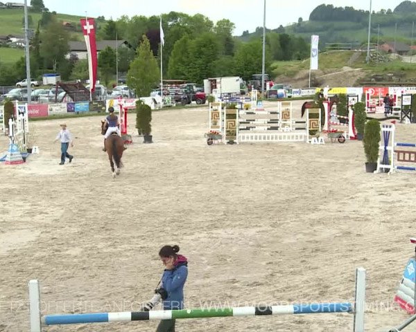 Reitturnier Plaffeien 2019
