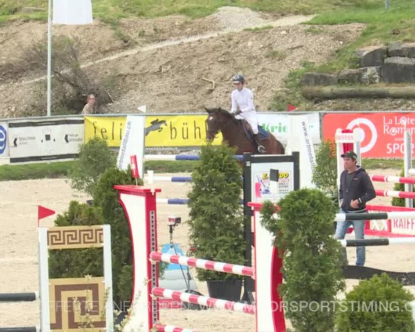 Reitturnier Plaffeien 2019