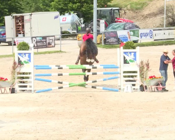 Reitturnier Plaffeien 2019