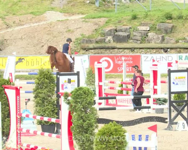 Reitturnier Plaffeien 2019