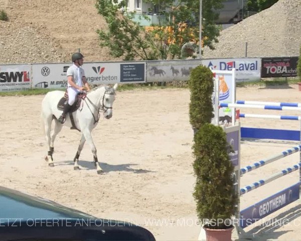 Reitturnier Plaffeien 2019
