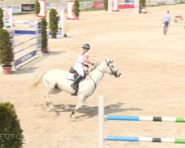Reitturnier Plaffeien 2019
