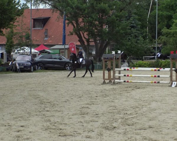 Reitturnier Bochum-Nord 2019