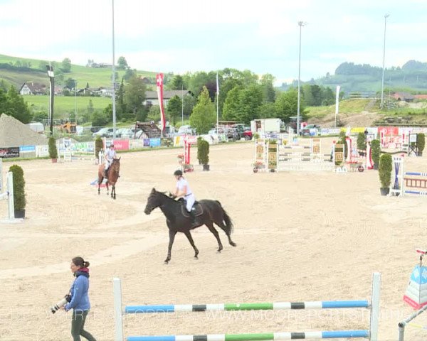 Reitturnier Plaffeien 2019