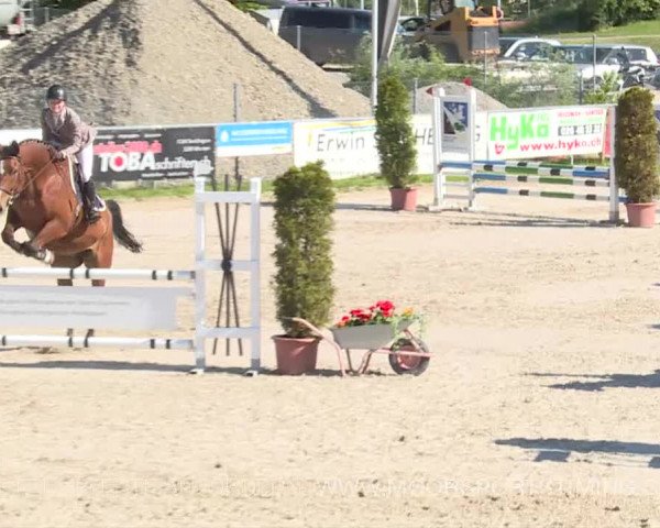 Reitturnier Plaffeien 2019