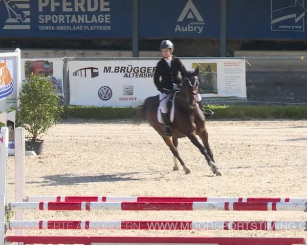 Reitturnier Plaffeien 2019