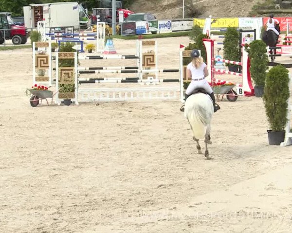 Reitturnier Plaffeien 2019
