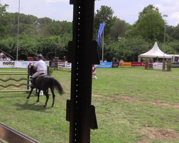 Reitturnier Borken 2019