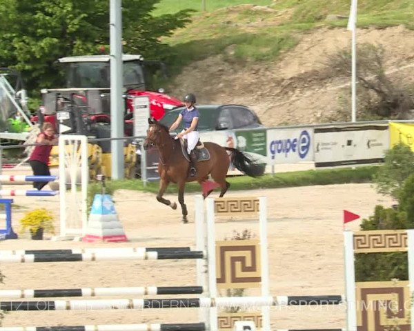 Reitturnier Plaffeien 2019