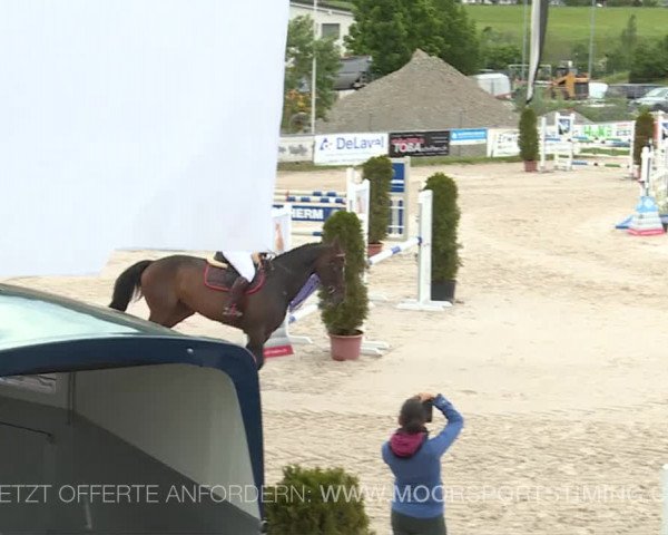 Reitturnier Plaffeien 2019