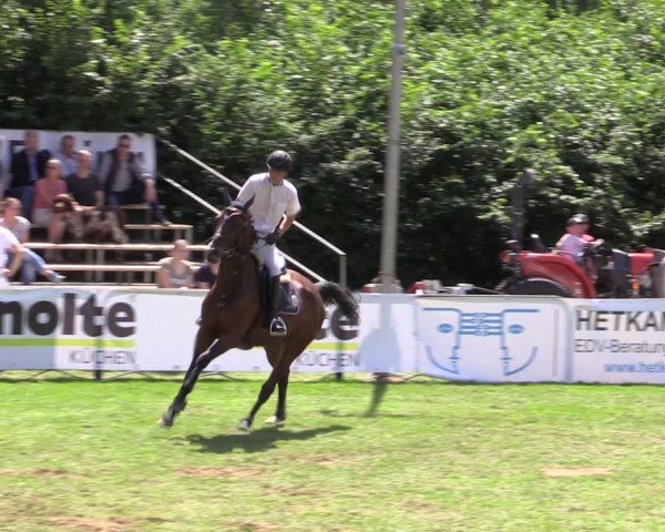 Reitturnier Borken 2019