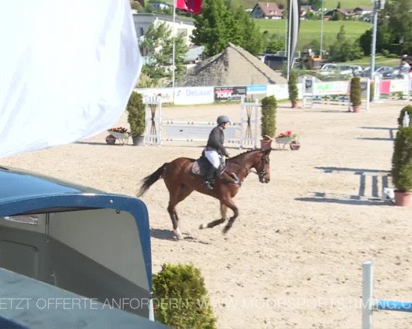 Reitturnier Plaffeien 2019