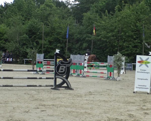 Reitturnier Bochum-Nord 2019