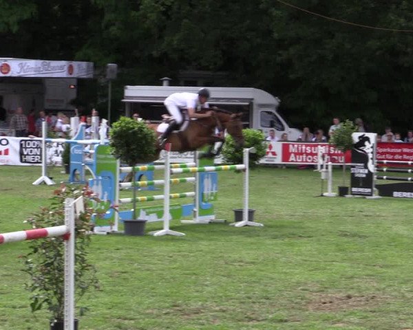 Reitturnier Borken 2019