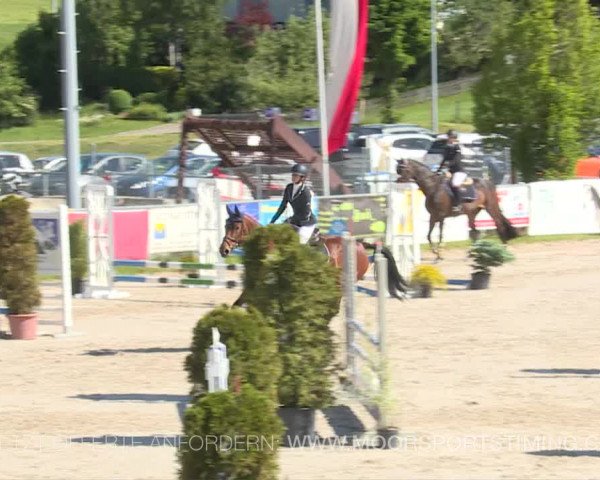 Reitturnier Plaffeien 2019