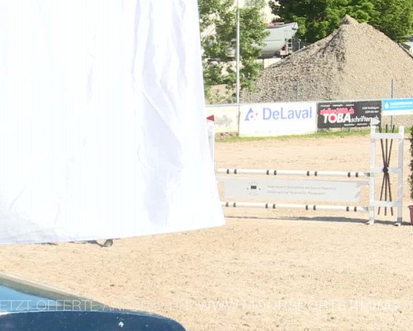 Reitturnier Plaffeien 2019