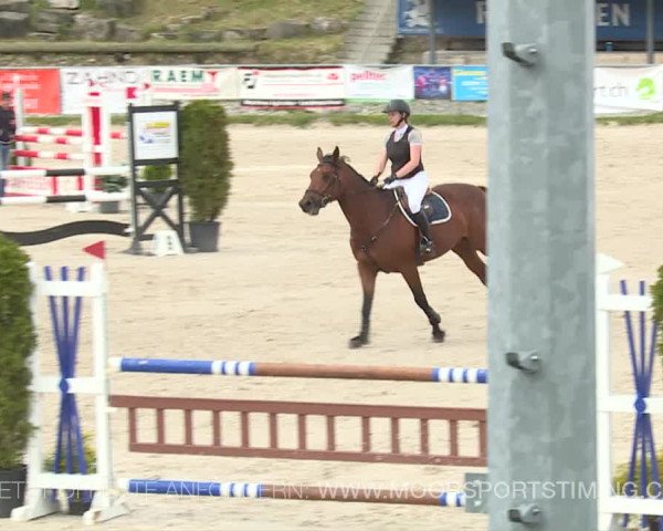 Reitturnier Plaffeien 2019