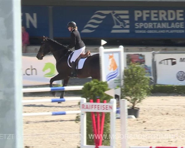 Reitturnier Plaffeien 2019