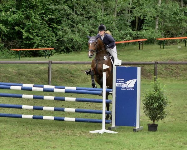 Reitturnier Jettingen 2019