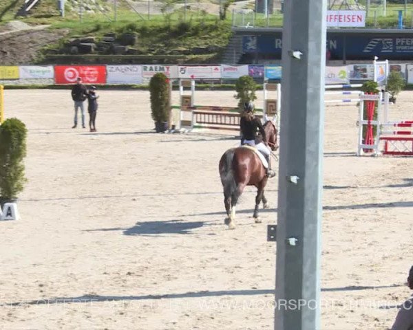 Reitturnier Plaffeien 2019