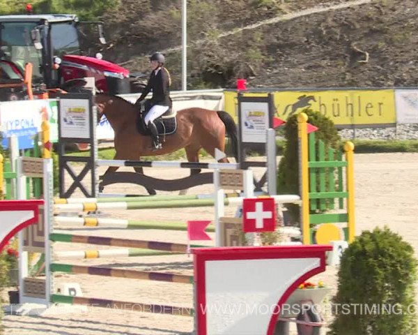 Reitturnier Plaffeien 2019