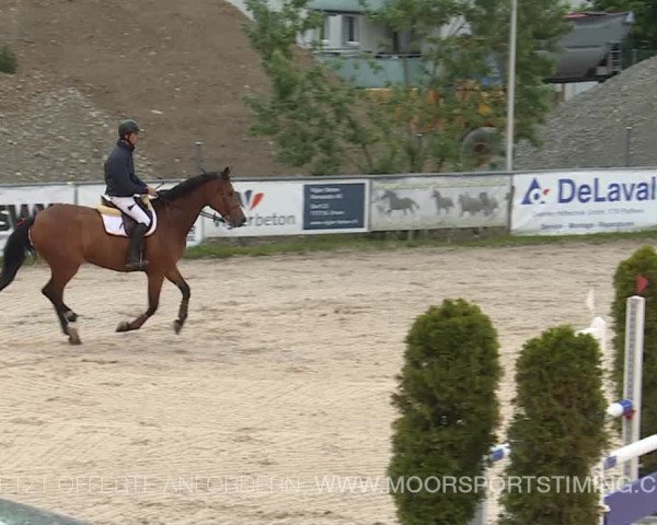 Reitturnier Plaffeien 2019