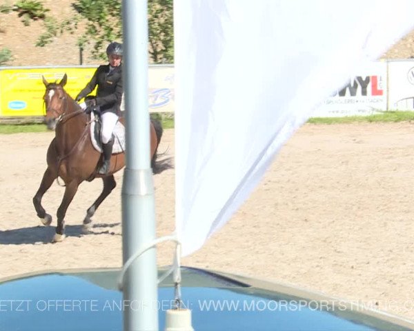 Reitturnier Plaffeien 2019
