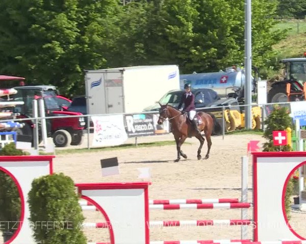 Reitturnier Plaffeien 2019