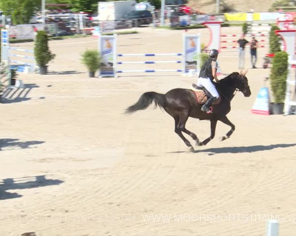 Reitturnier Plaffeien 2019