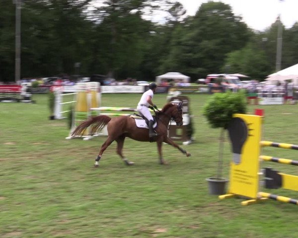 Reitturnier Borken 2019
