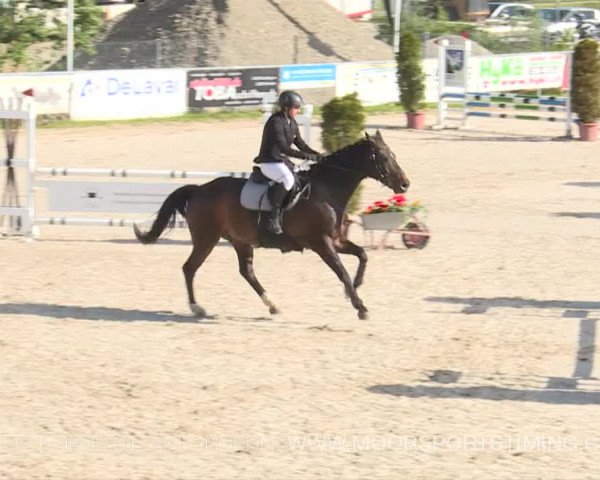 Reitturnier Plaffeien 2019
