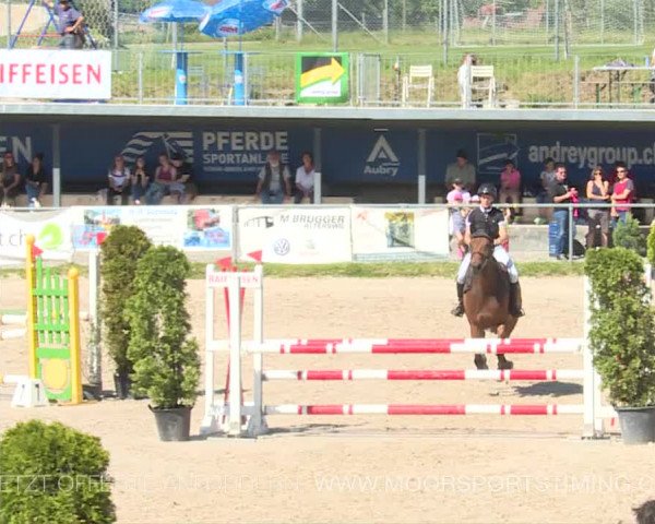 Reitturnier Plaffeien 2019
