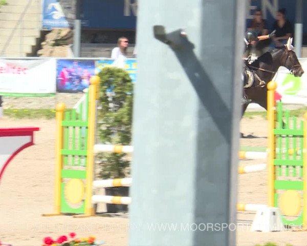 Reitturnier Plaffeien 2019