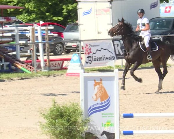 Reitturnier Plaffeien 2019